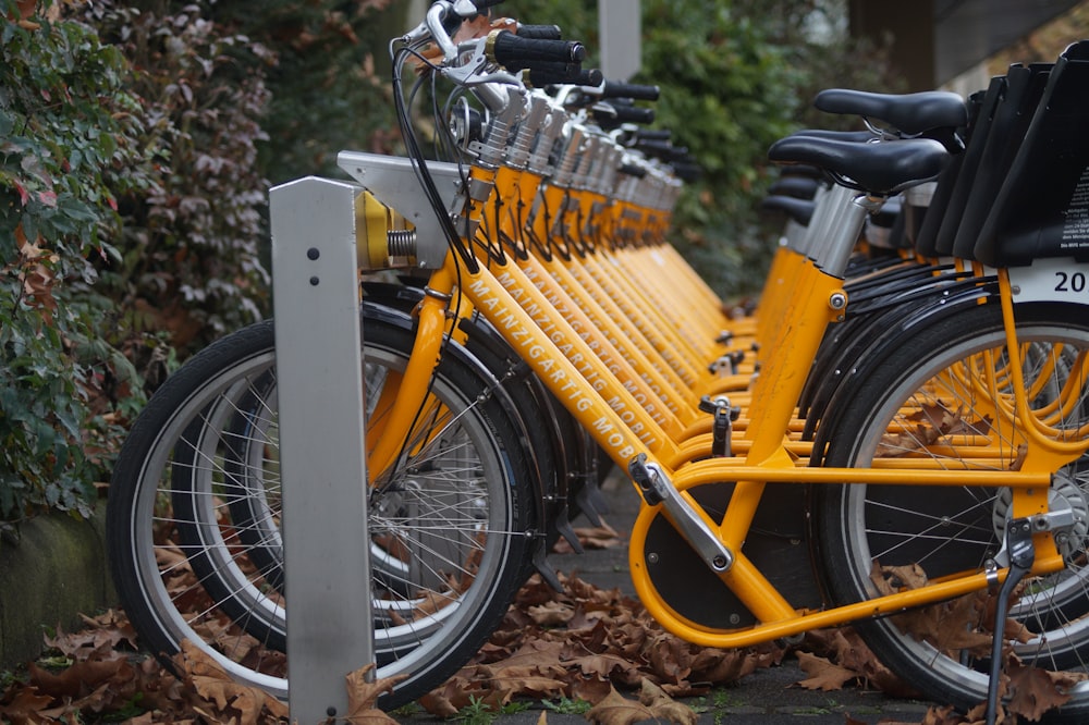 yellow bicycle with black wheel