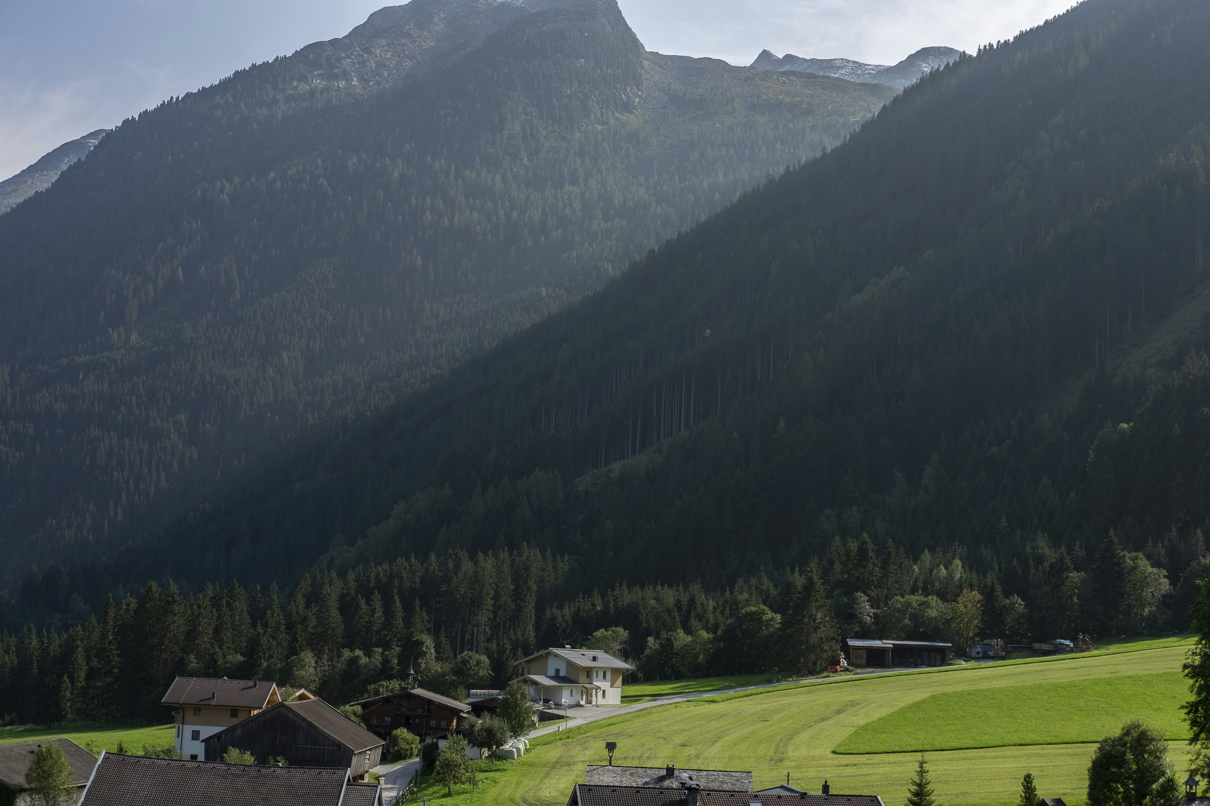 Campo de hierba verde cerca de Green Mountain durante el día