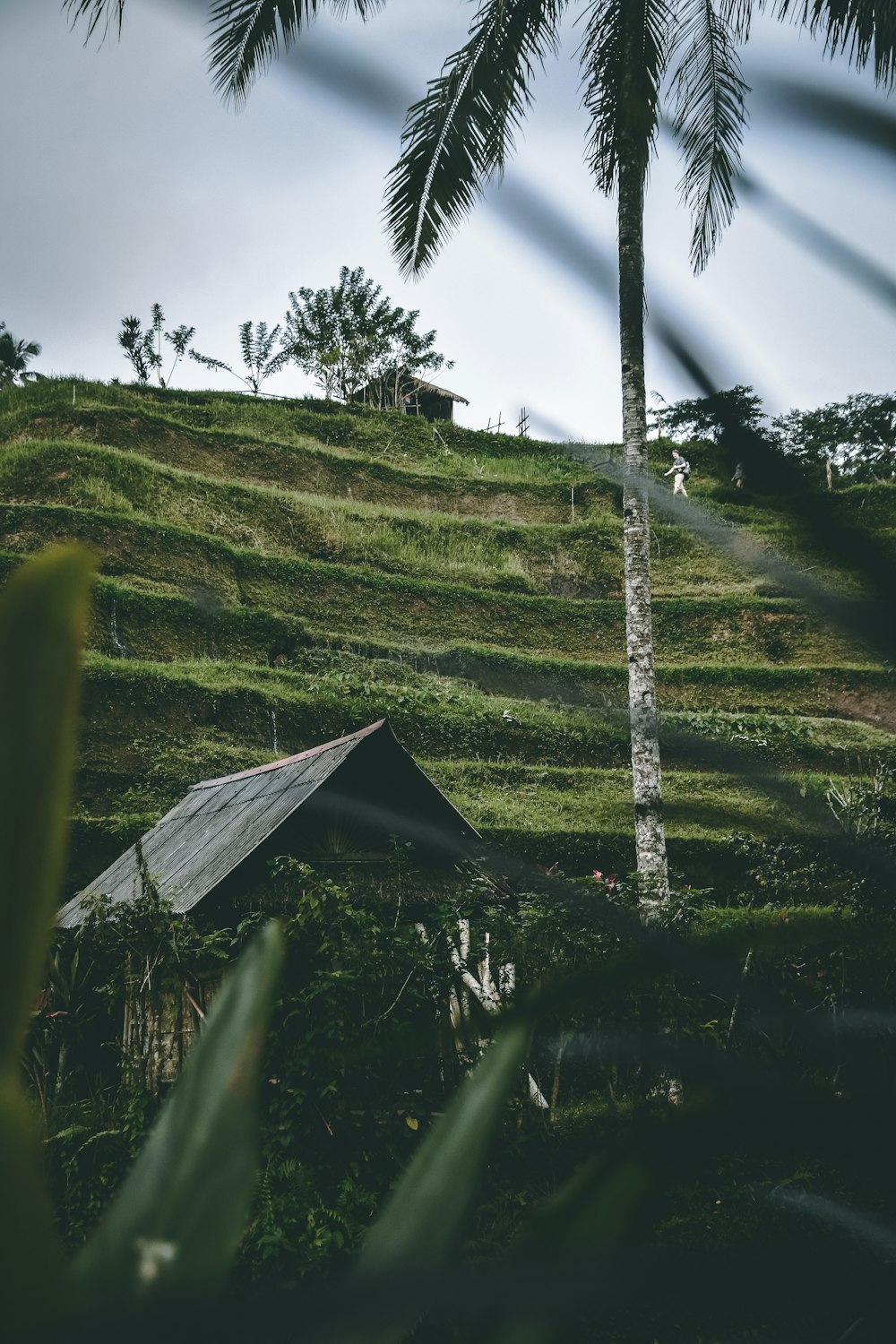 Casa de madera marrón en campo de hierba verde durante el día