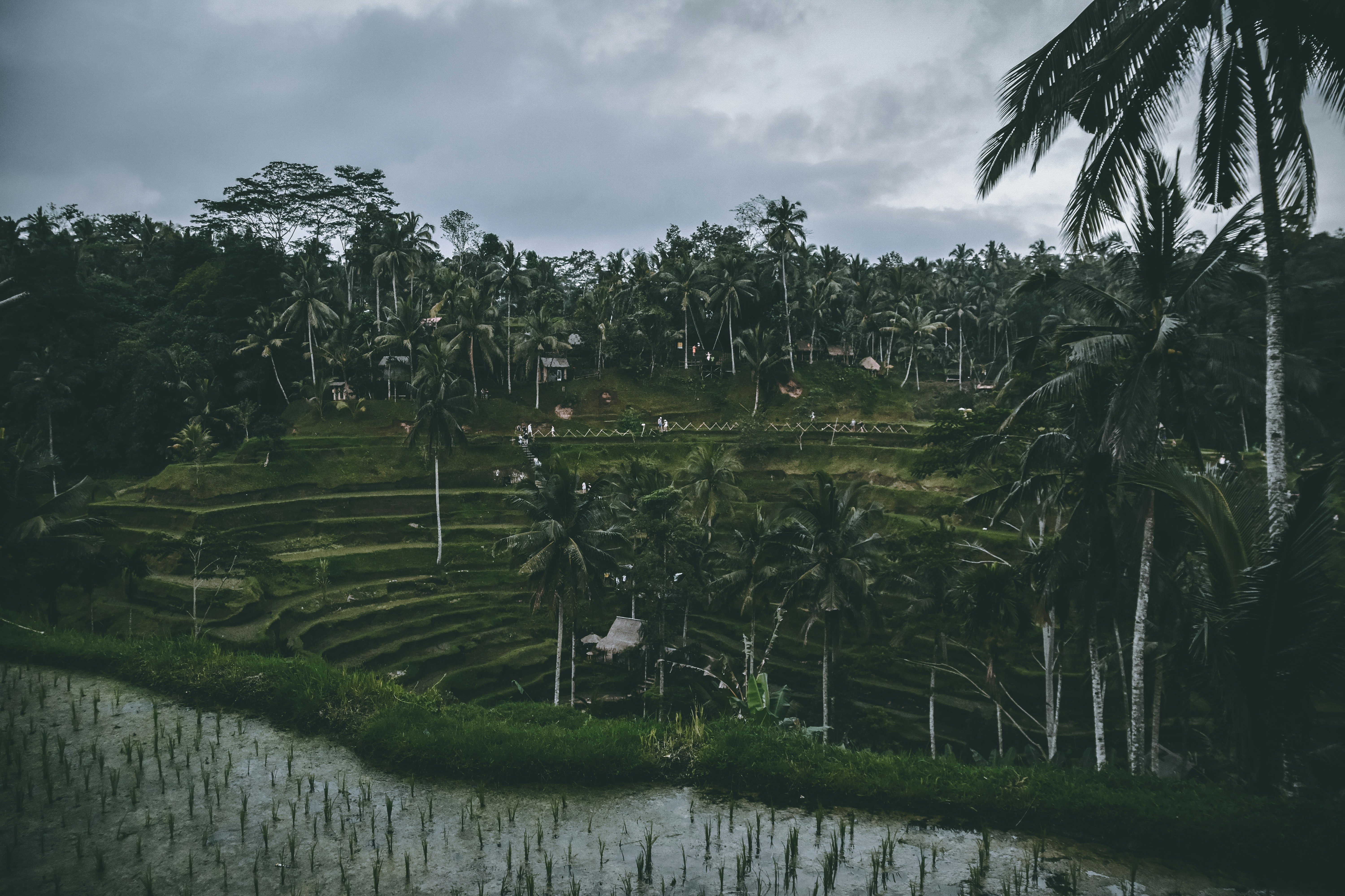 Photo by danielesalutari