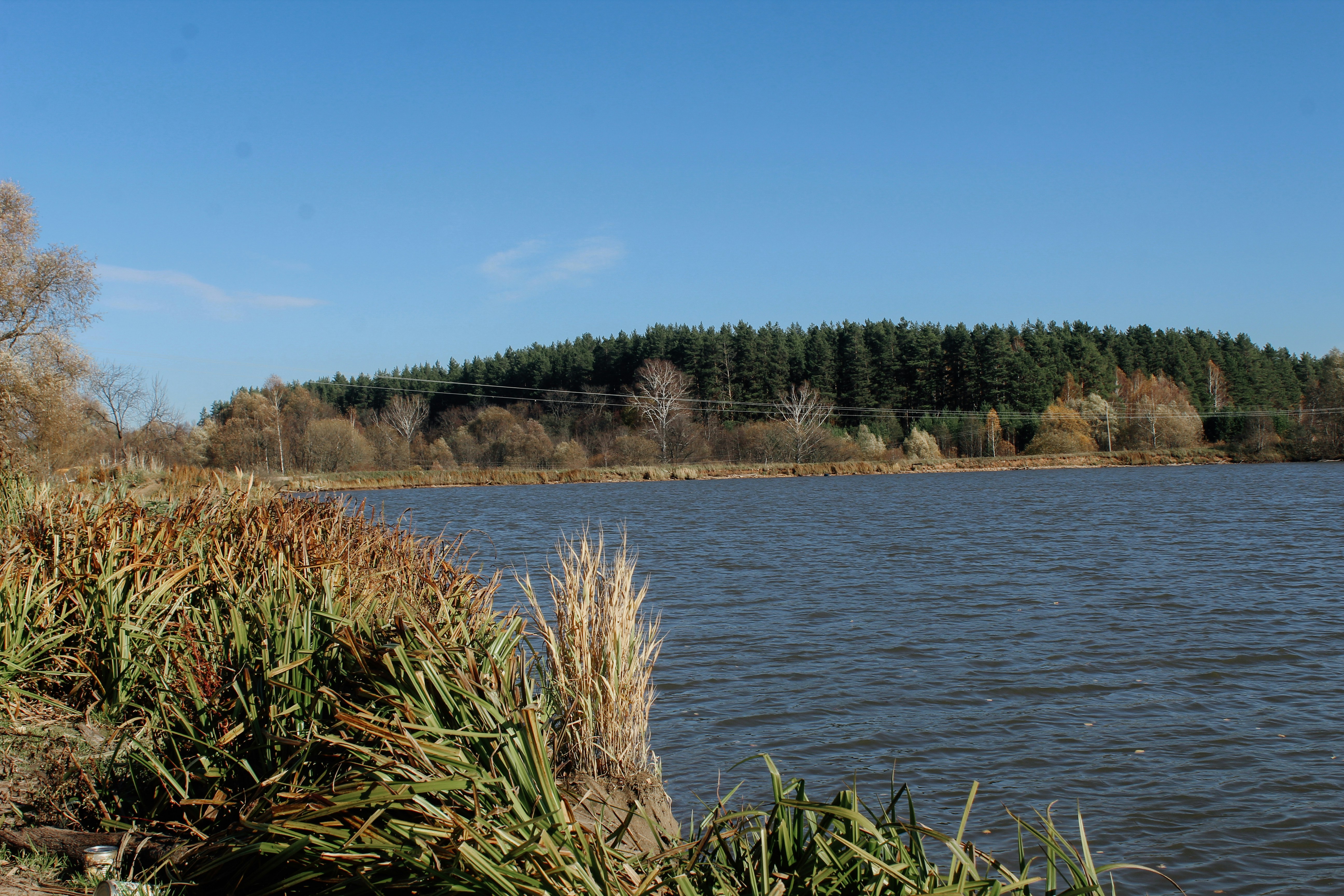 Photo by west_wildfire