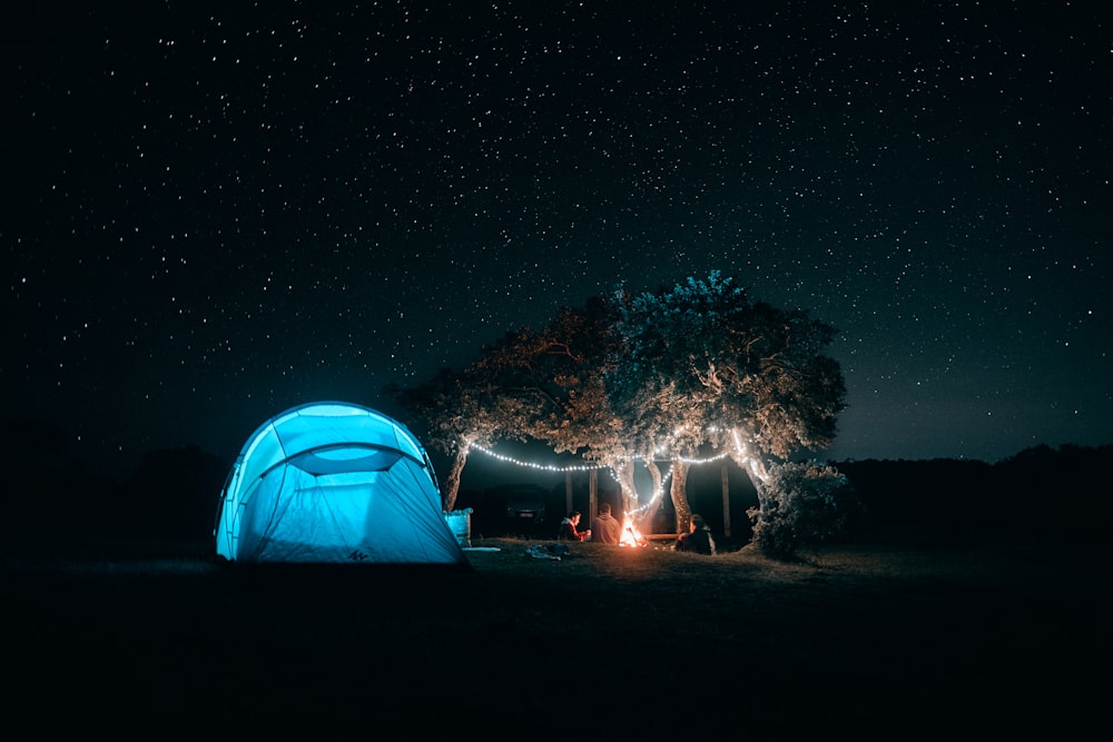 tente dôme blanc près des arbres verts pendant la nuit
