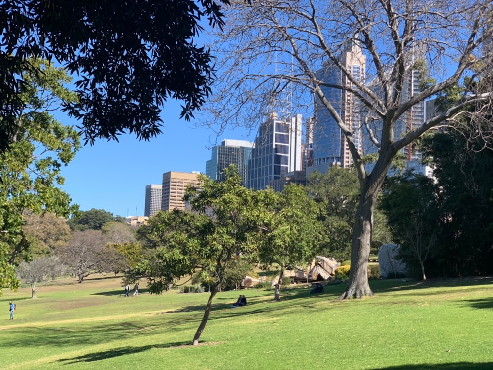 green grass field with trees and buildings in distance