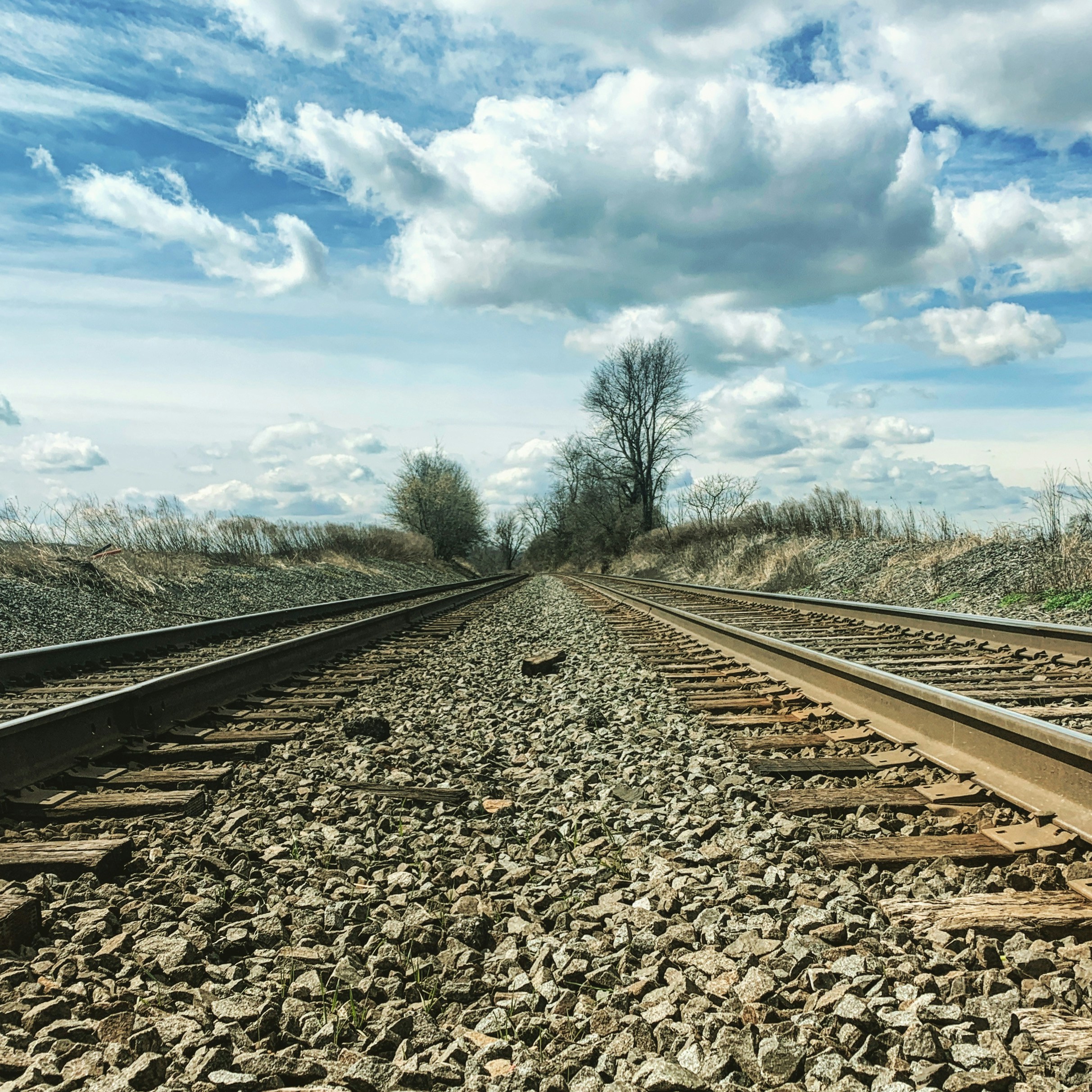 Photo by jnmacdonald