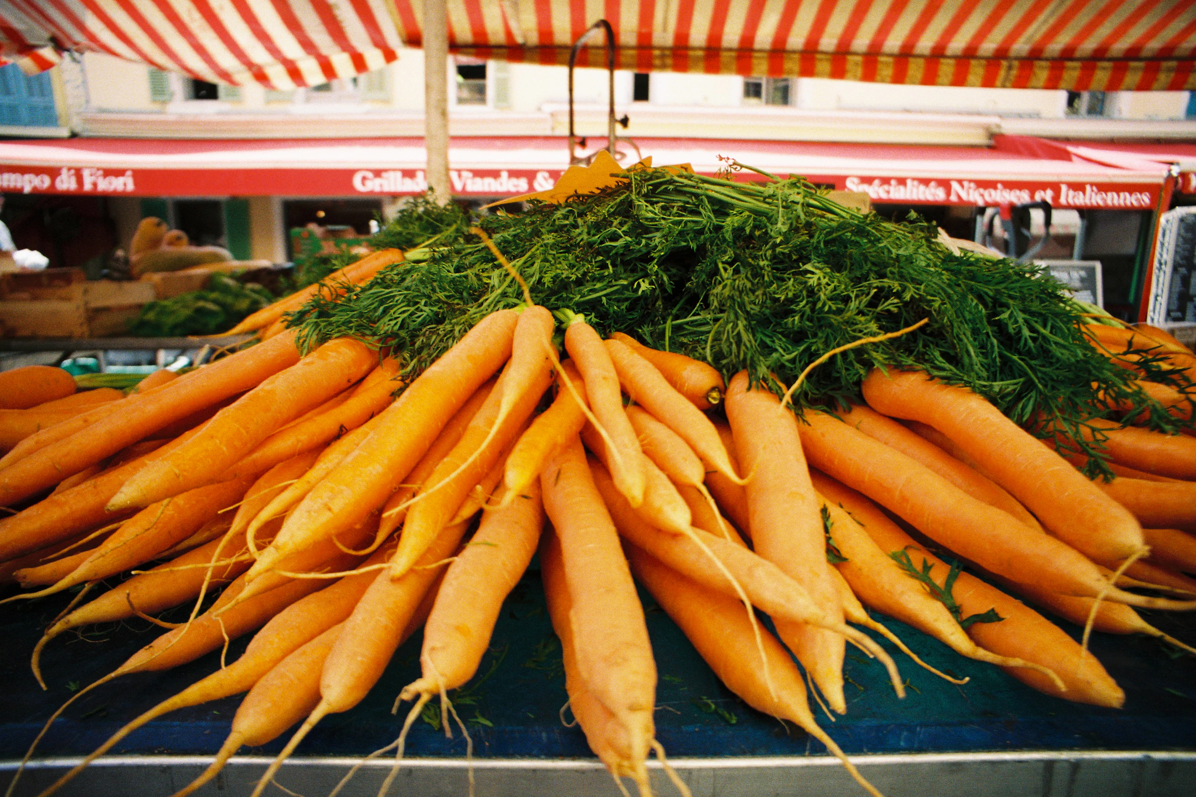Fresh carrots and leafy produce at a market in Nice