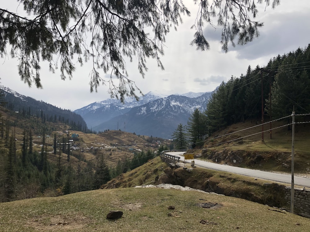 green trees on brown field near mountain under white clouds during daytime