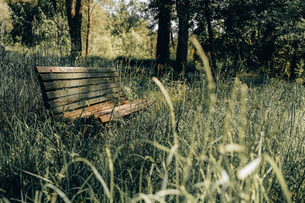 banco de madeira marrom no campo verde da grama durante o dia