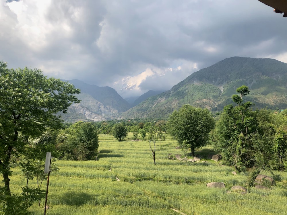 green grass field near green mountains under white clouds during daytime