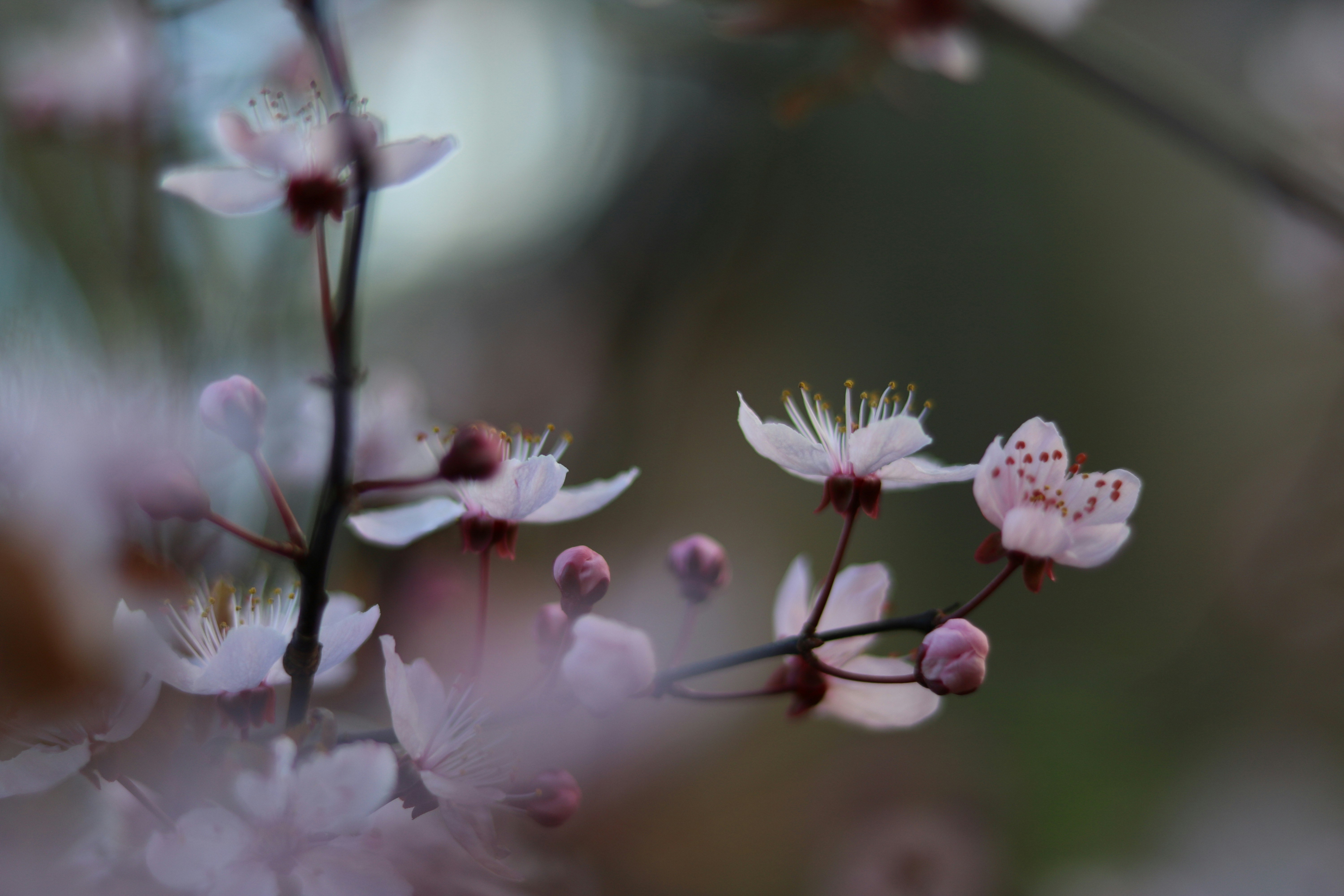 Photo by diemitdemuniontrikot