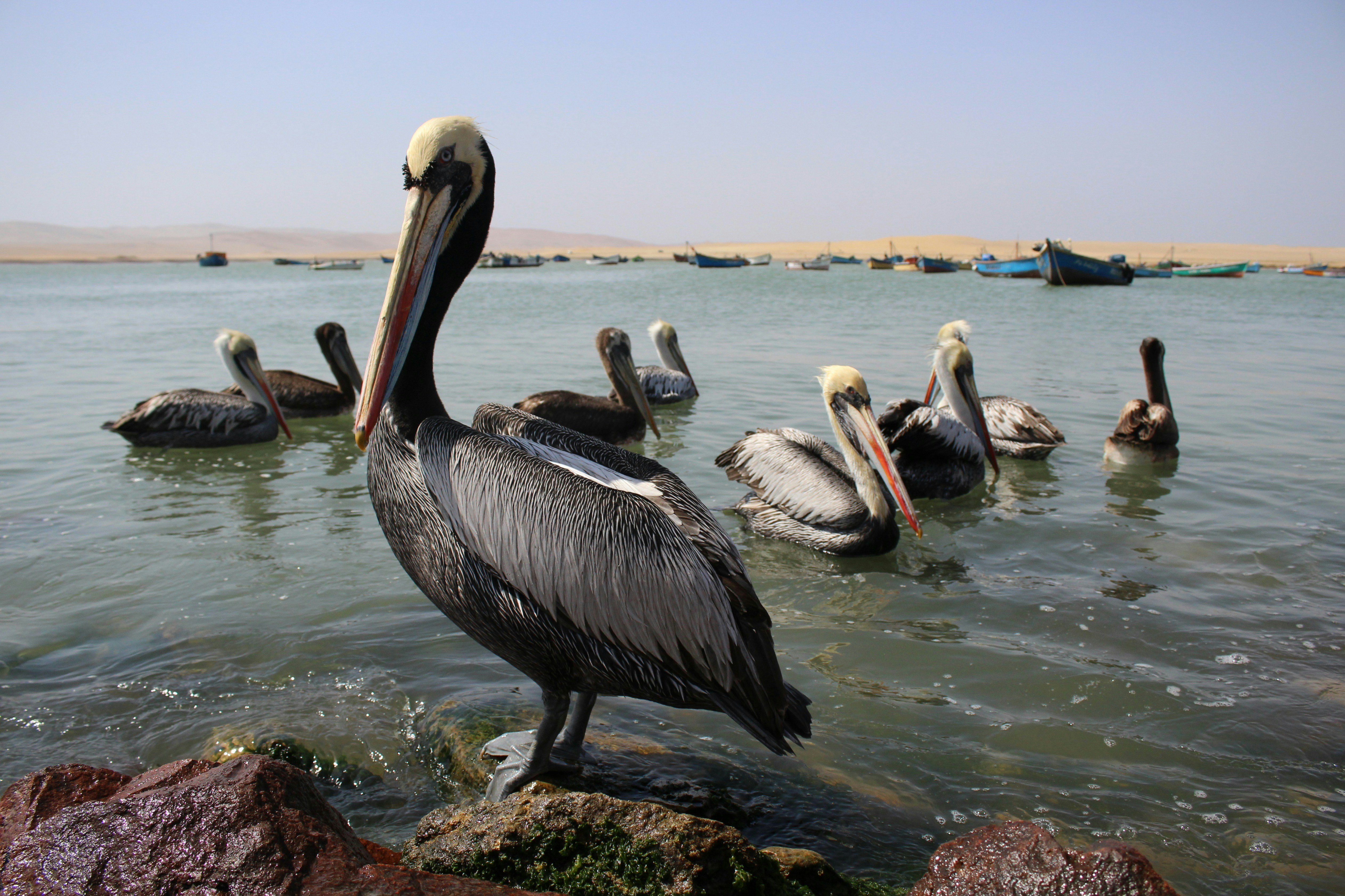 Al Areen Wildlife Park photo 2