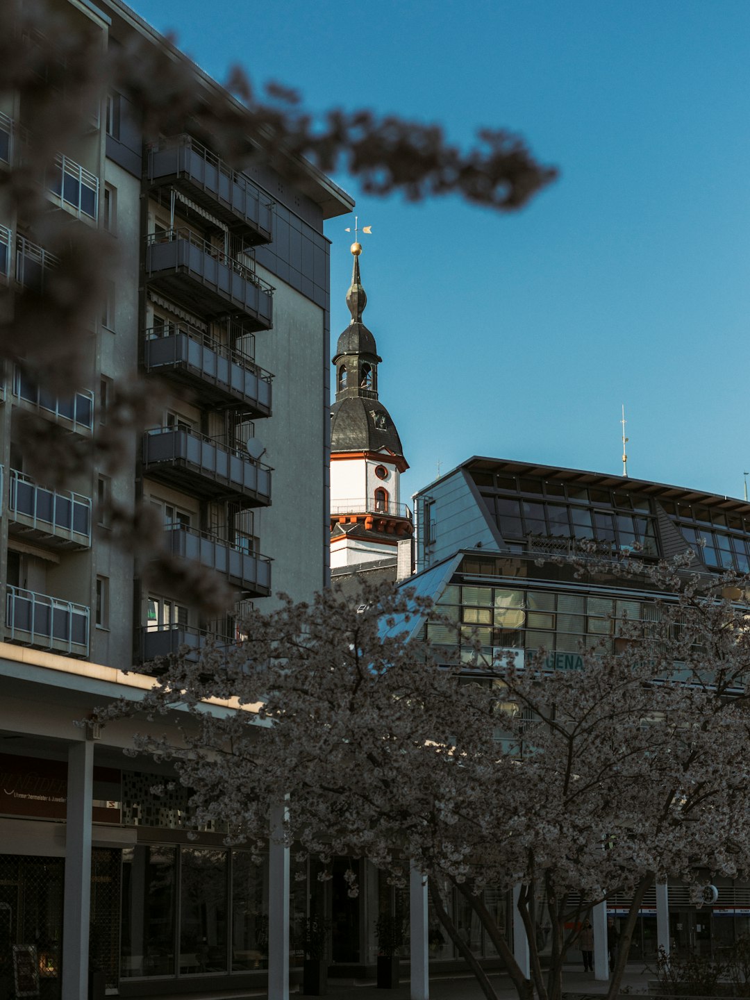 Town photo spot Chemnitz-Zentrum Bad Schandau