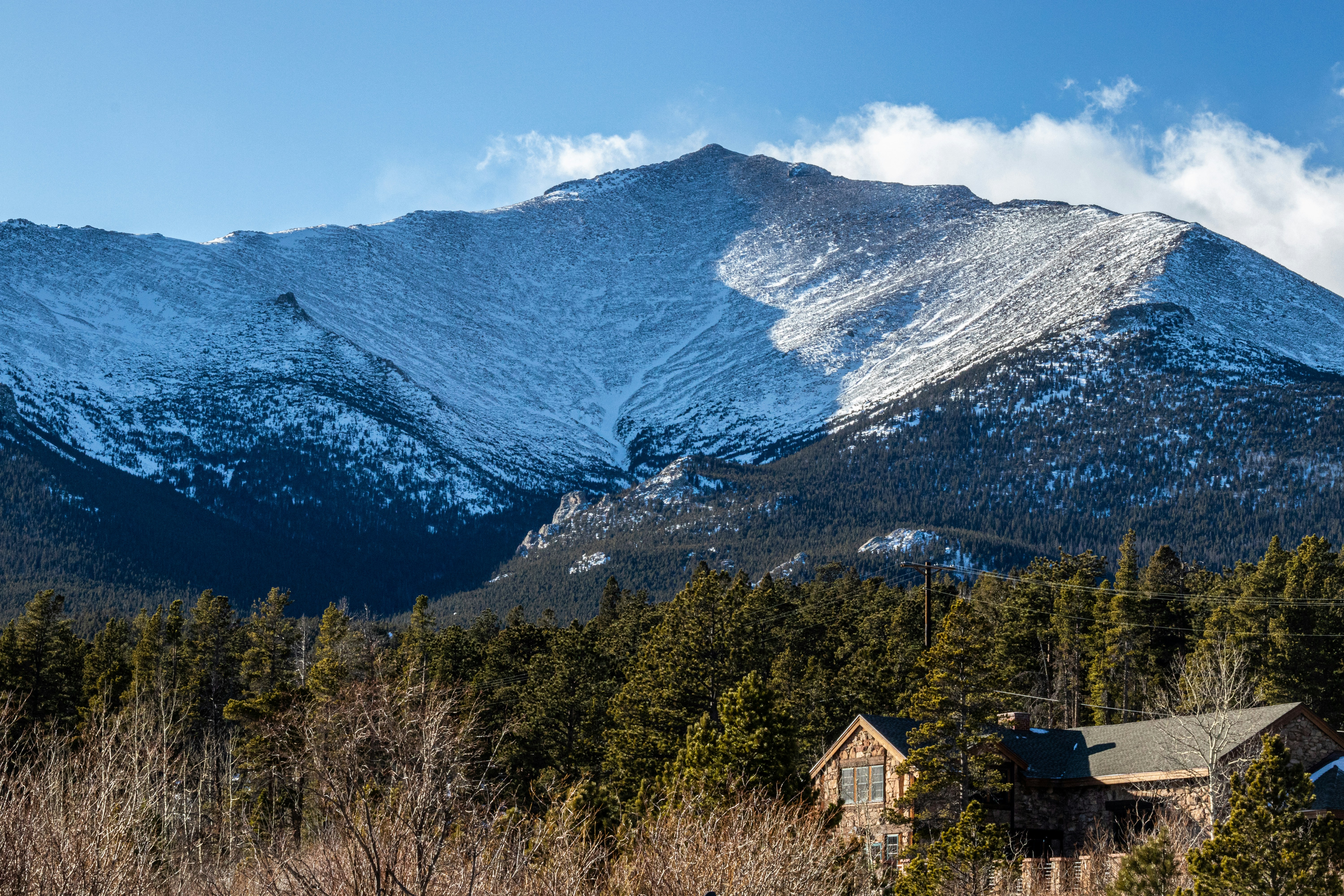 brown wooden house near green trees and mountain during daytime
