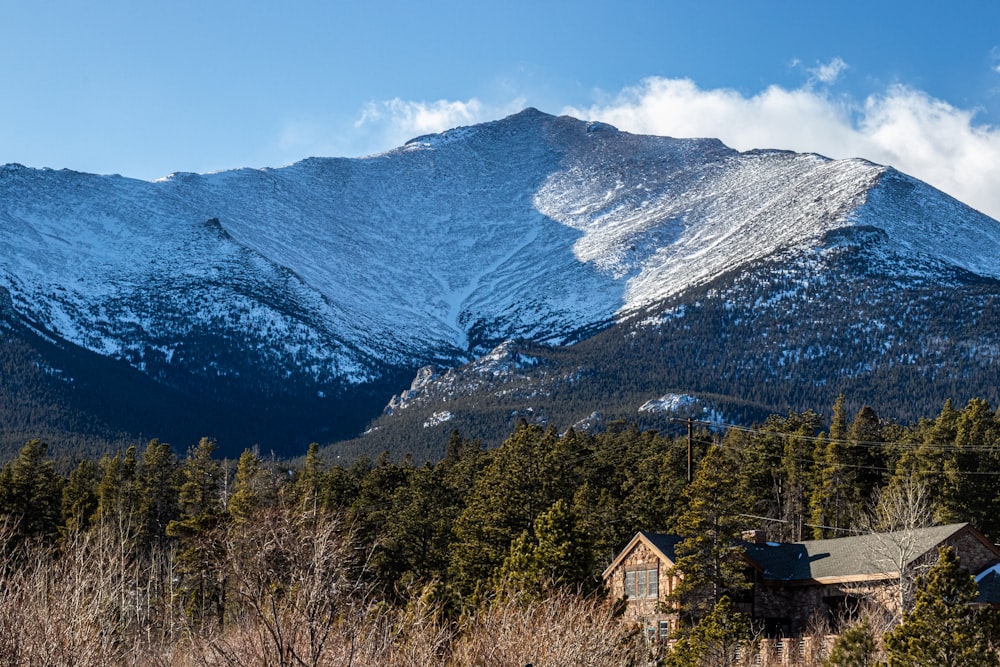 brown wooden house near green trees and mountain during daytime