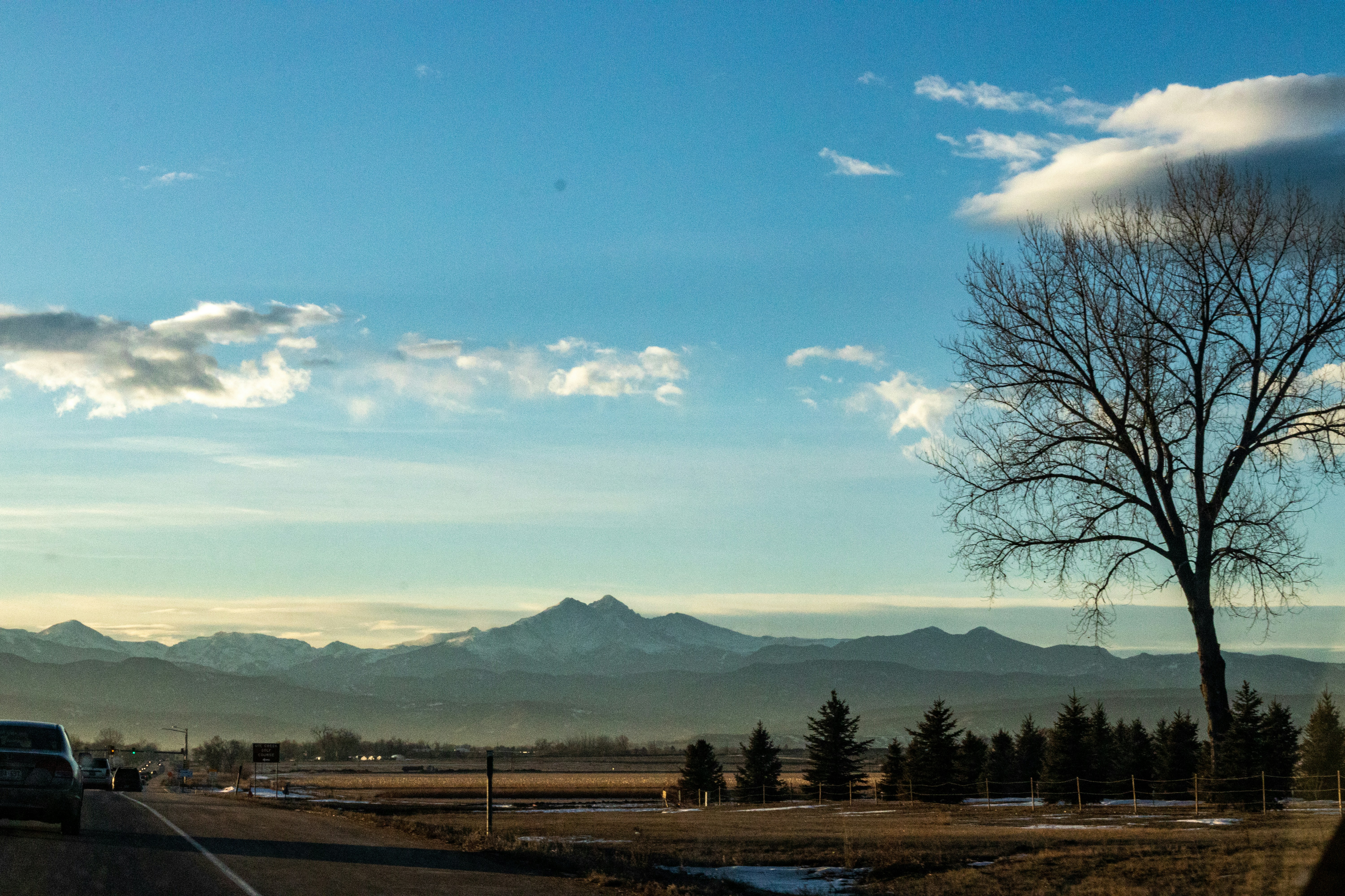 bare trees near mountain under blue sky during daytime
