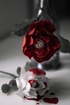 Two paper flowers, one red and one white with red edges, are placed on a surface. The red flower is positioned upright in an empty bottle with its intricate petals fully open. The white flower lies on the surface, surrounded by red liquid resembling spilled paint or ink. The backdrop is blurred, providing a focus on the detailed texture of the flowers.