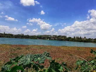A scenic view of Loktak Lake with floating phumdis under a clear sky.