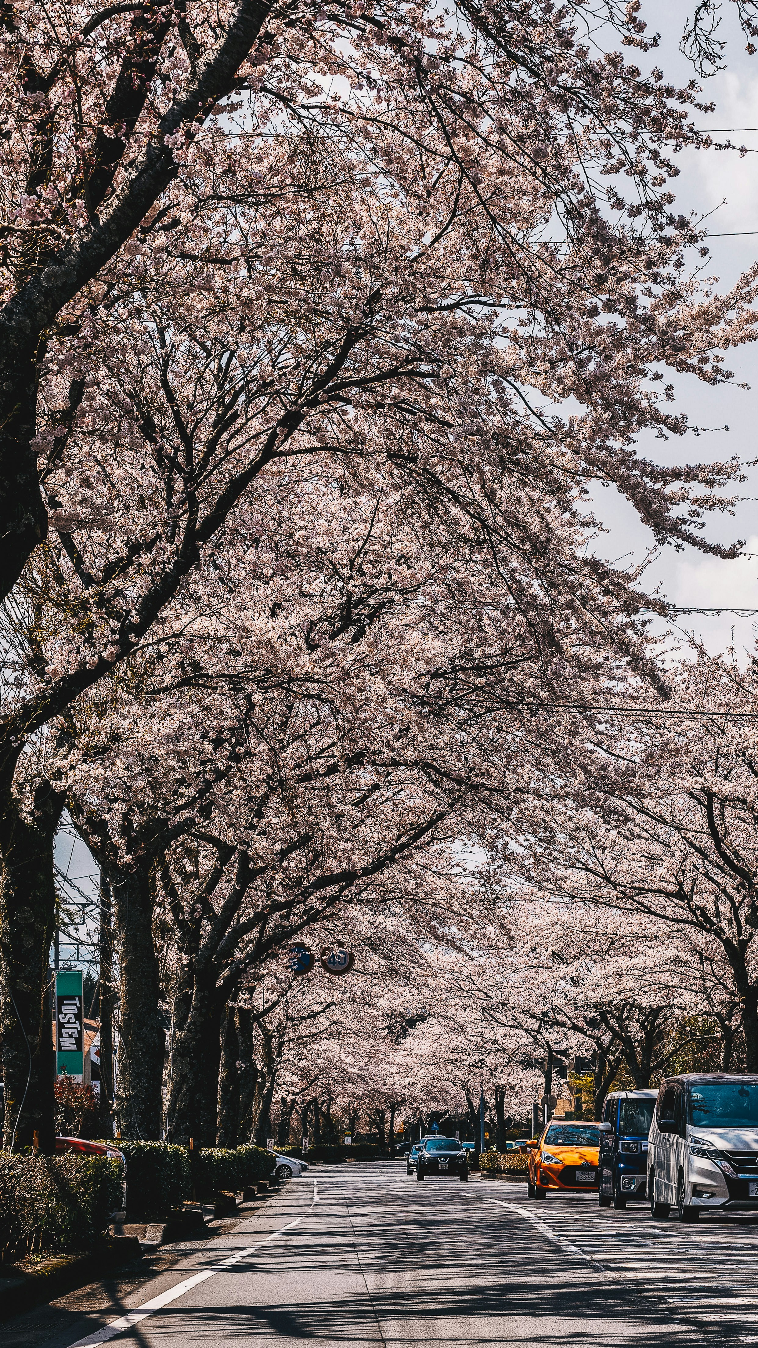 Photo by roberto_j_saldana