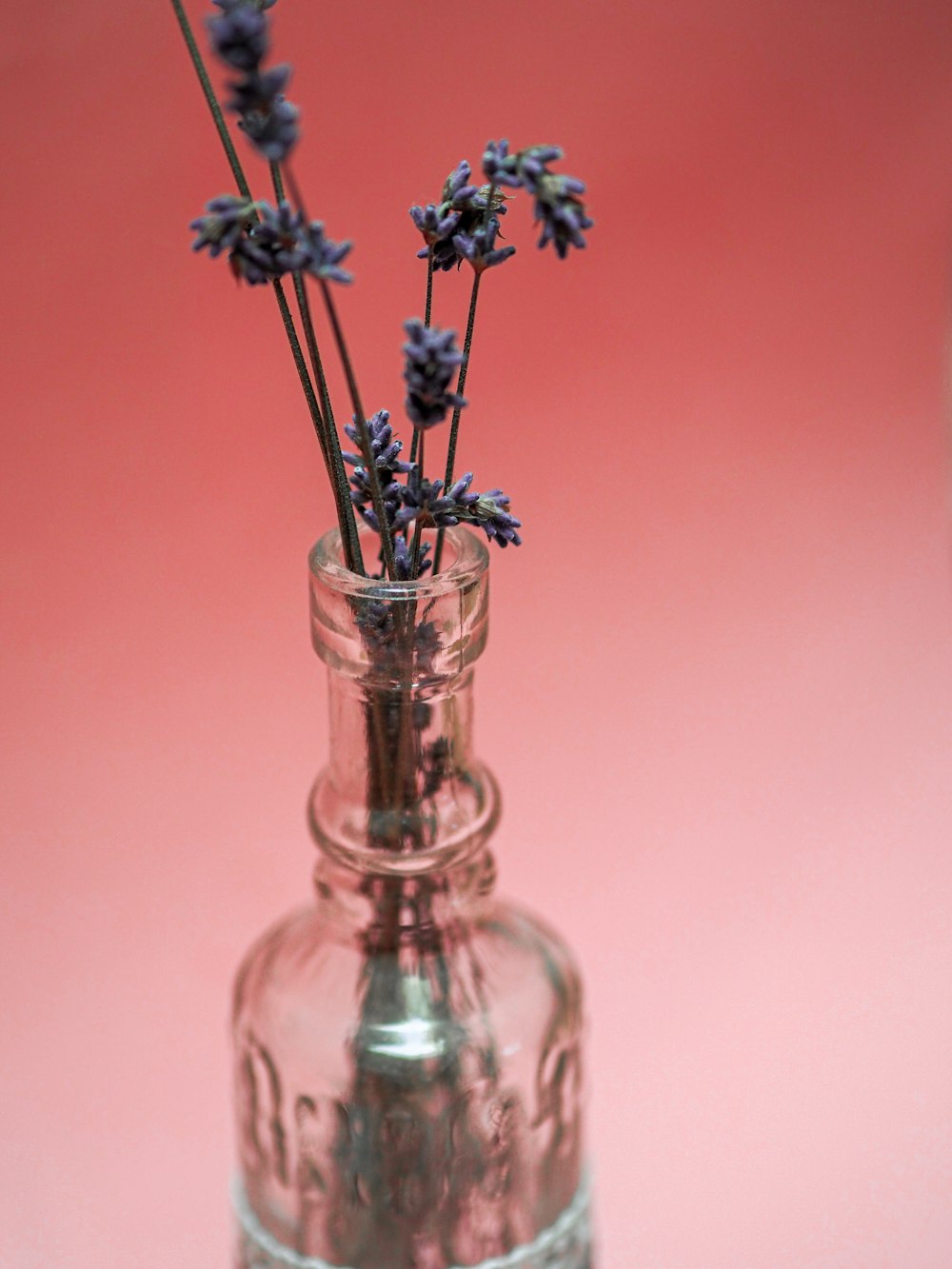 white flowers in clear glass vase