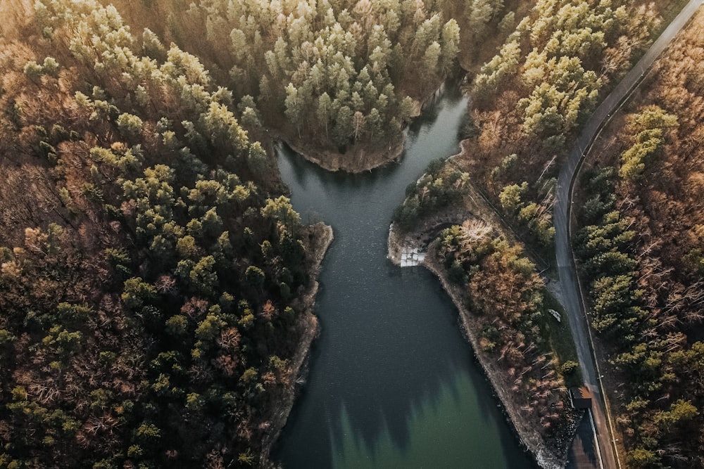 aerial view of trees and river