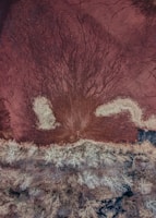 Map highlighting priority reforestation areas with color-coded zones.