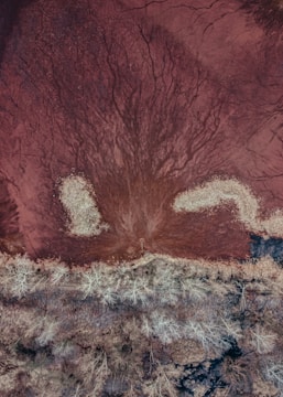 A satellite view of peatlands with highlighted zones where peat fire and soil health units are active