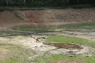 A dried-up pond with cracked earth and patches of green moss and algae. The perimeter shows a combination of rocky and grassy terrain, with some vegetation in the background. The scene suggests a lack of water and possibly drought conditions.