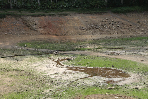 A dried-up pond with cracked earth and patches of green moss and algae. The perimeter shows a combination of rocky and grassy terrain, with some vegetation in the background. The scene suggests a lack of water and possibly drought conditions.