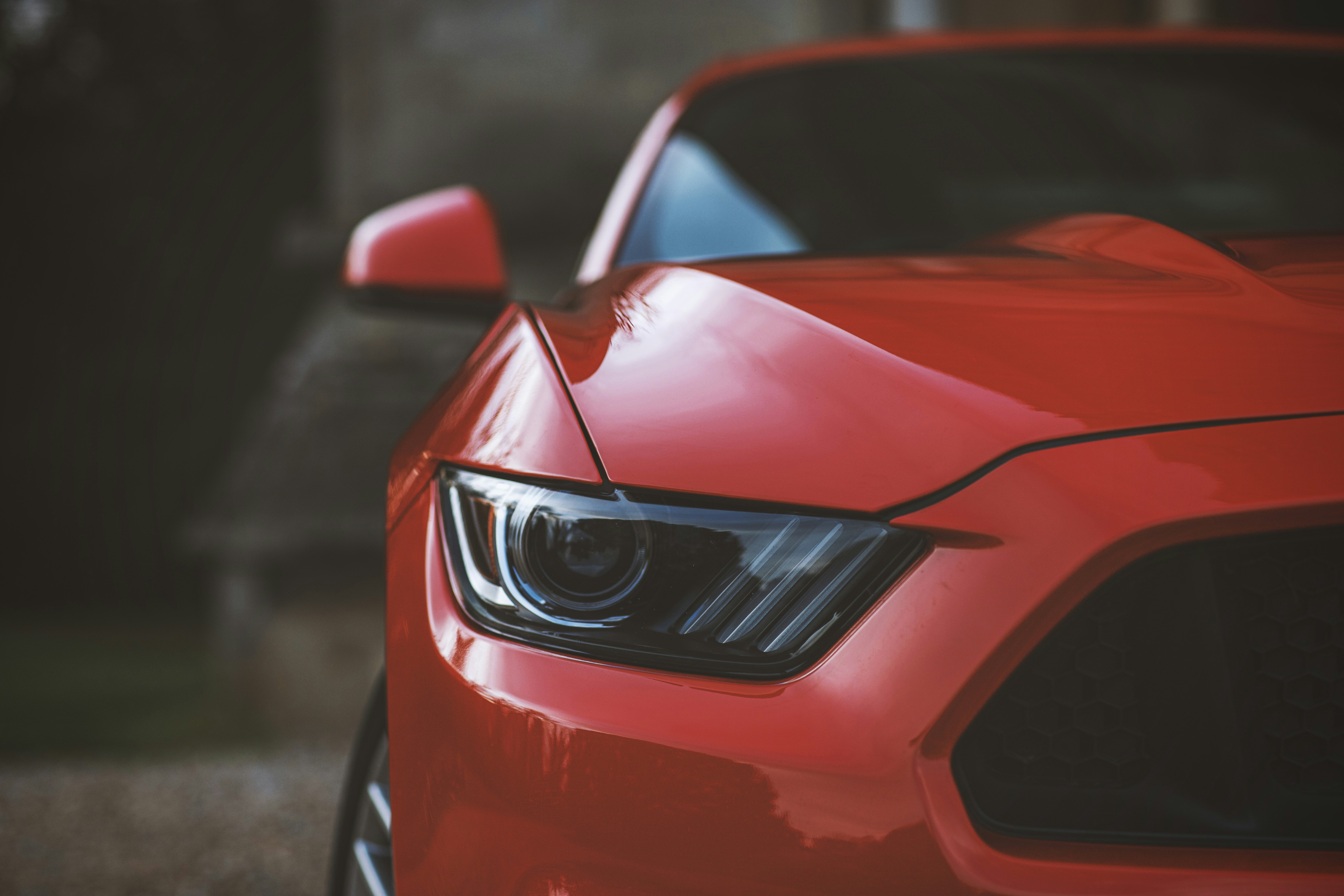 Photo by photofeaver