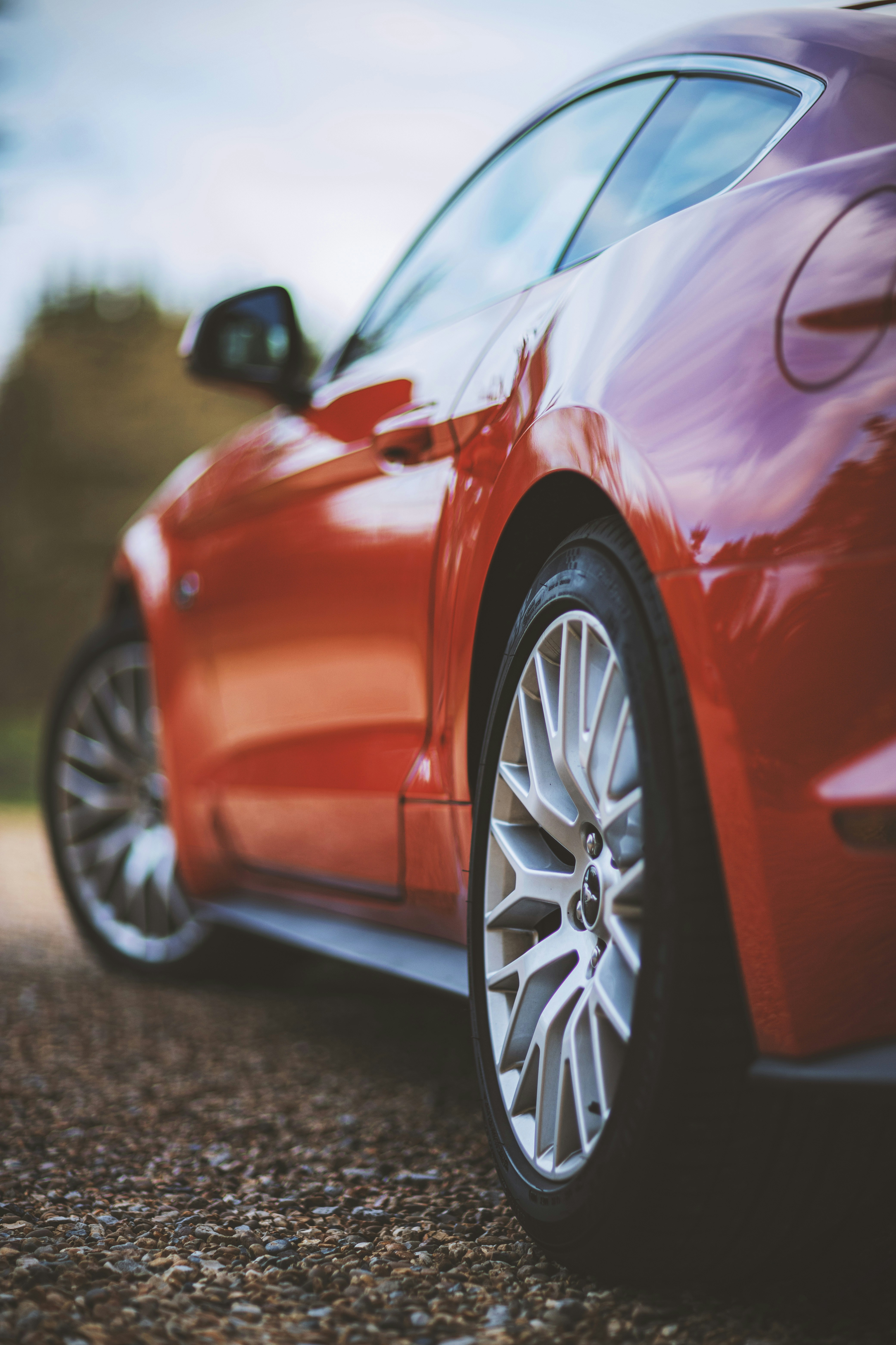 Photo by photofeaver