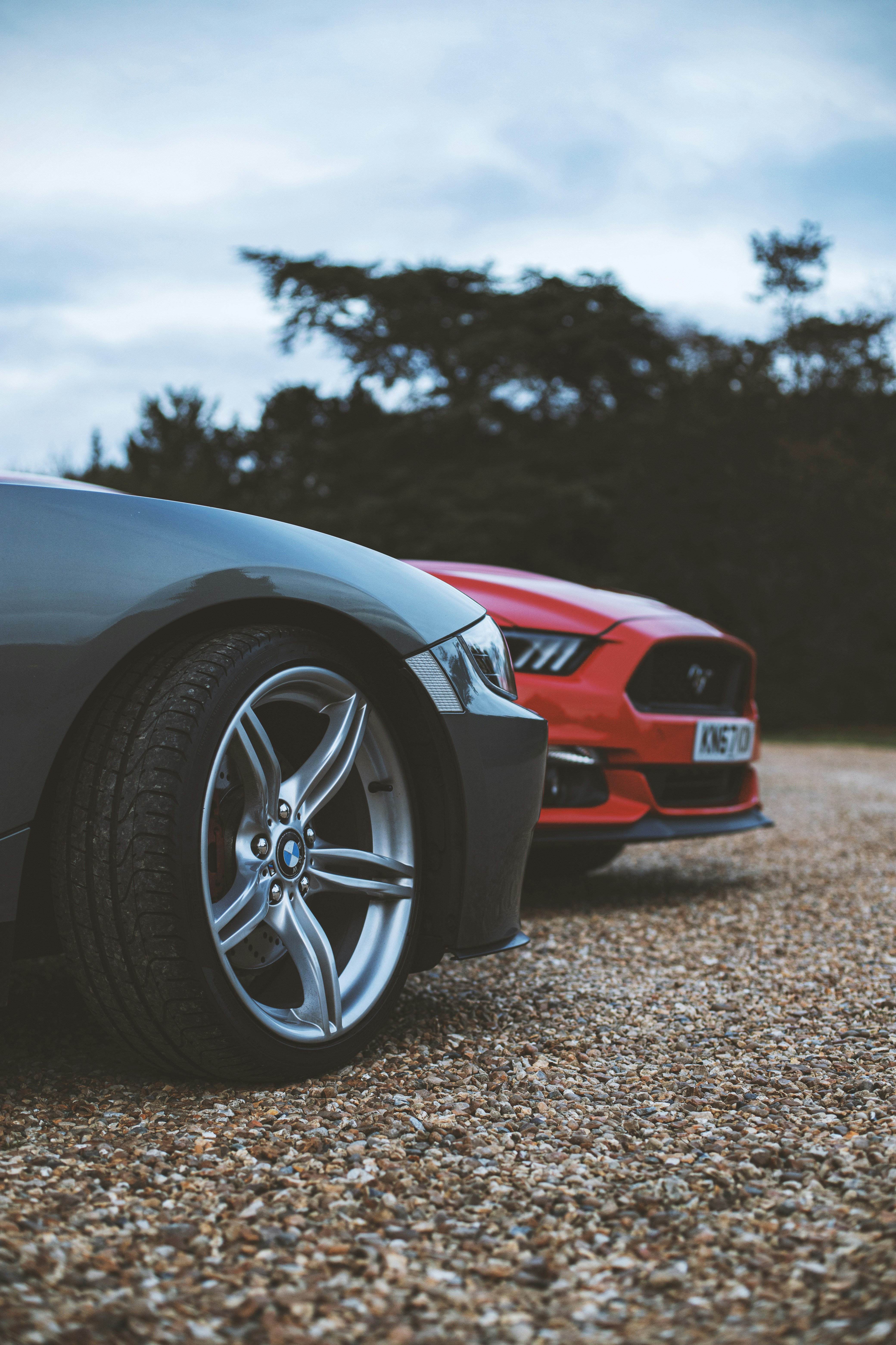 Photo by photofeaver