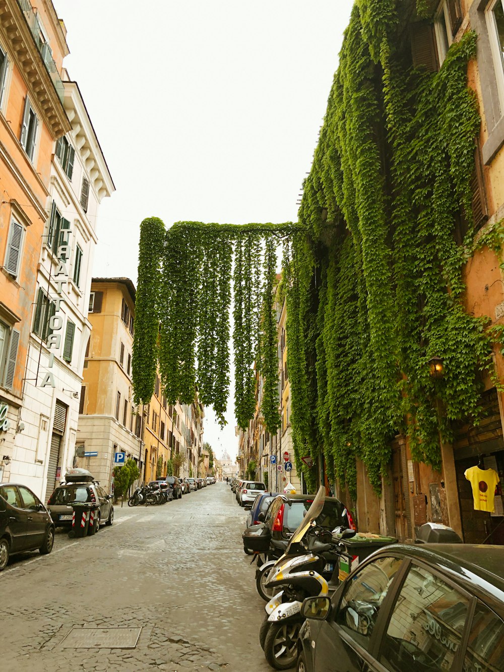 cars parked on side of the road in between buildings