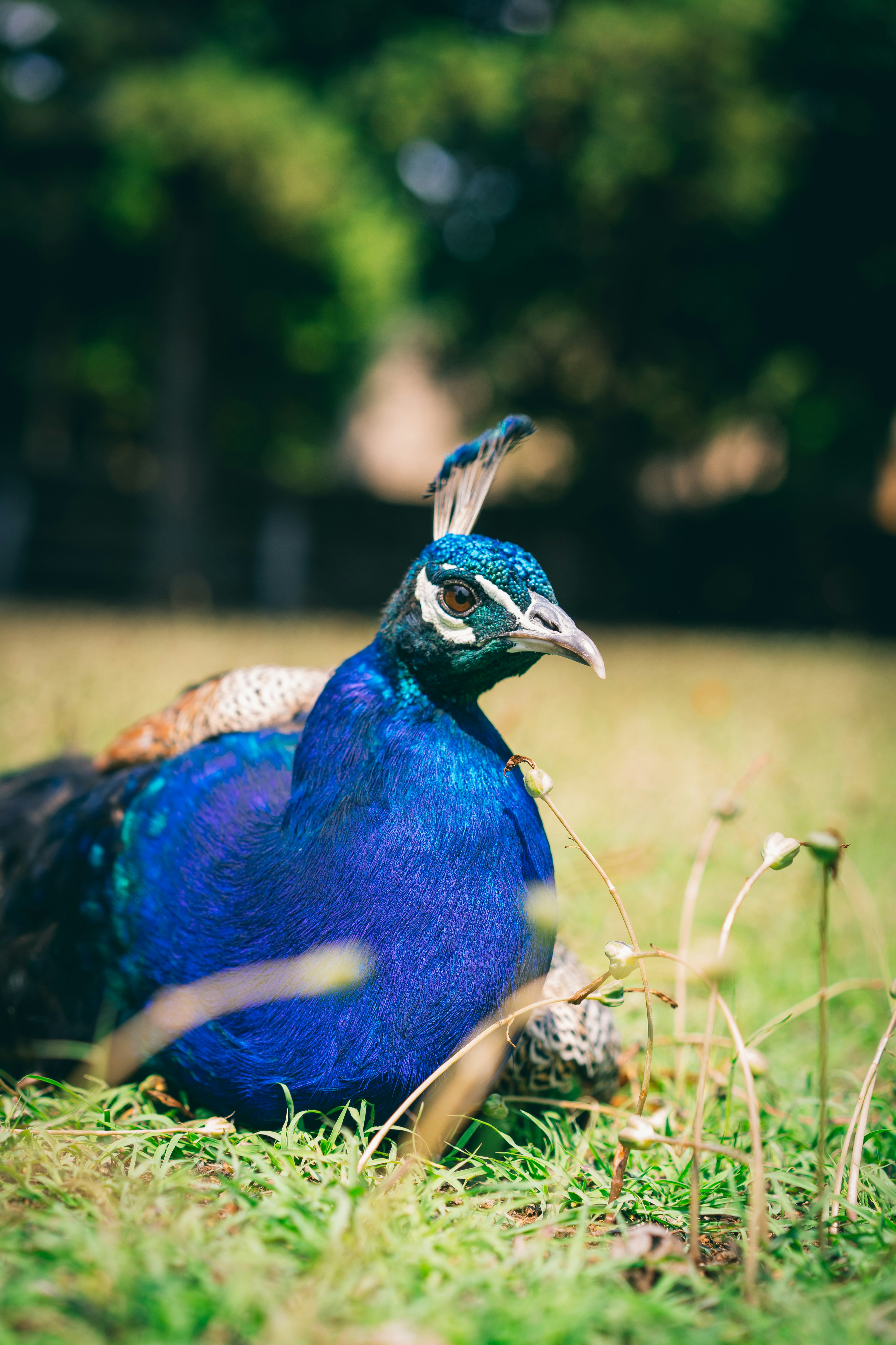 Photo by keizgoesboom