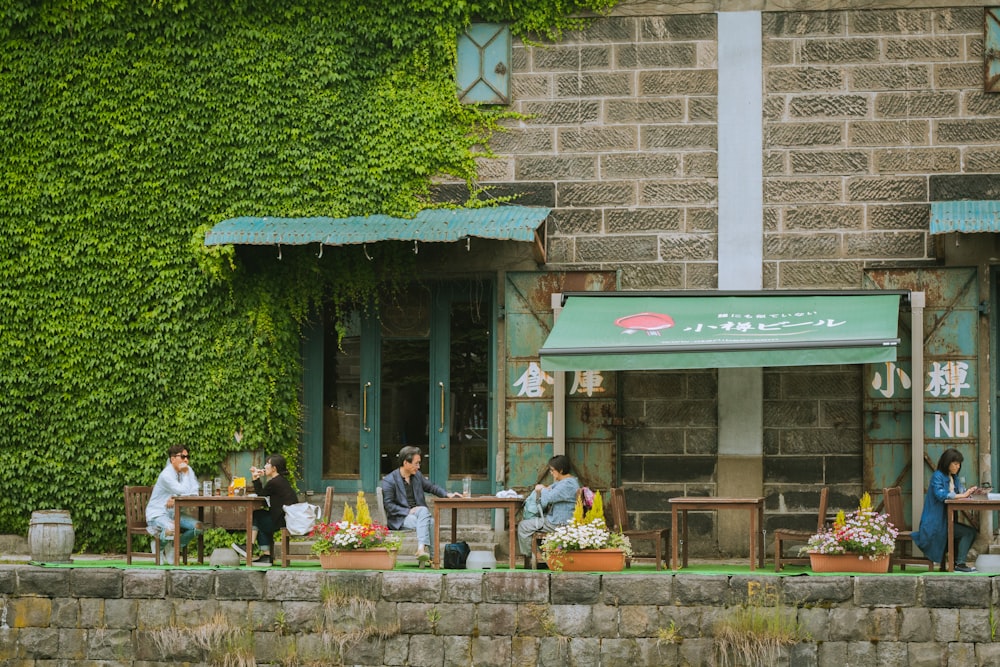 people sitting on chair near green tree during daytime