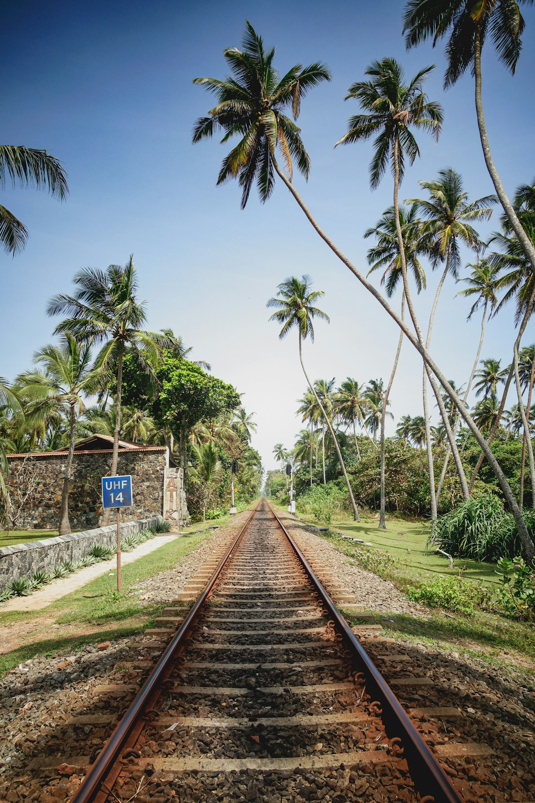 brown metal train rail near green palm trees during daytime