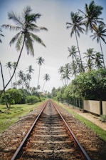 brown metal train rail between green trees during daytime