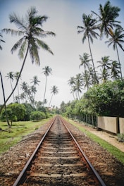 brown metal train rail between green trees during daytime