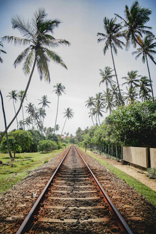 brown metal train rail between green trees during daytime