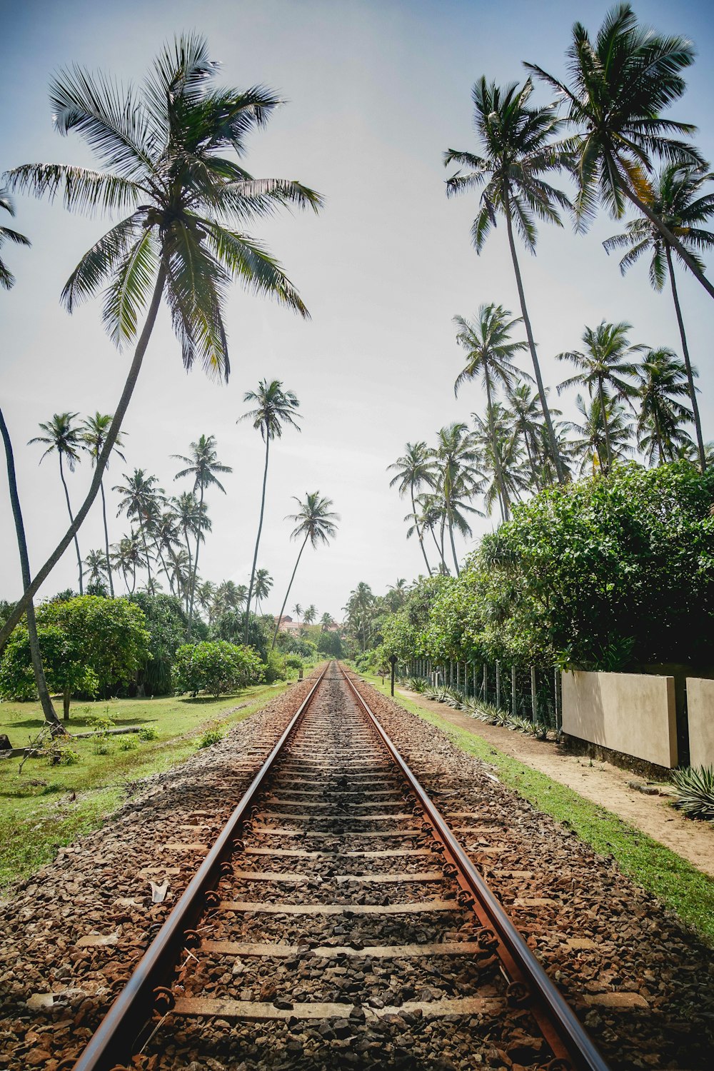 brown metal train rail between green trees during daytime