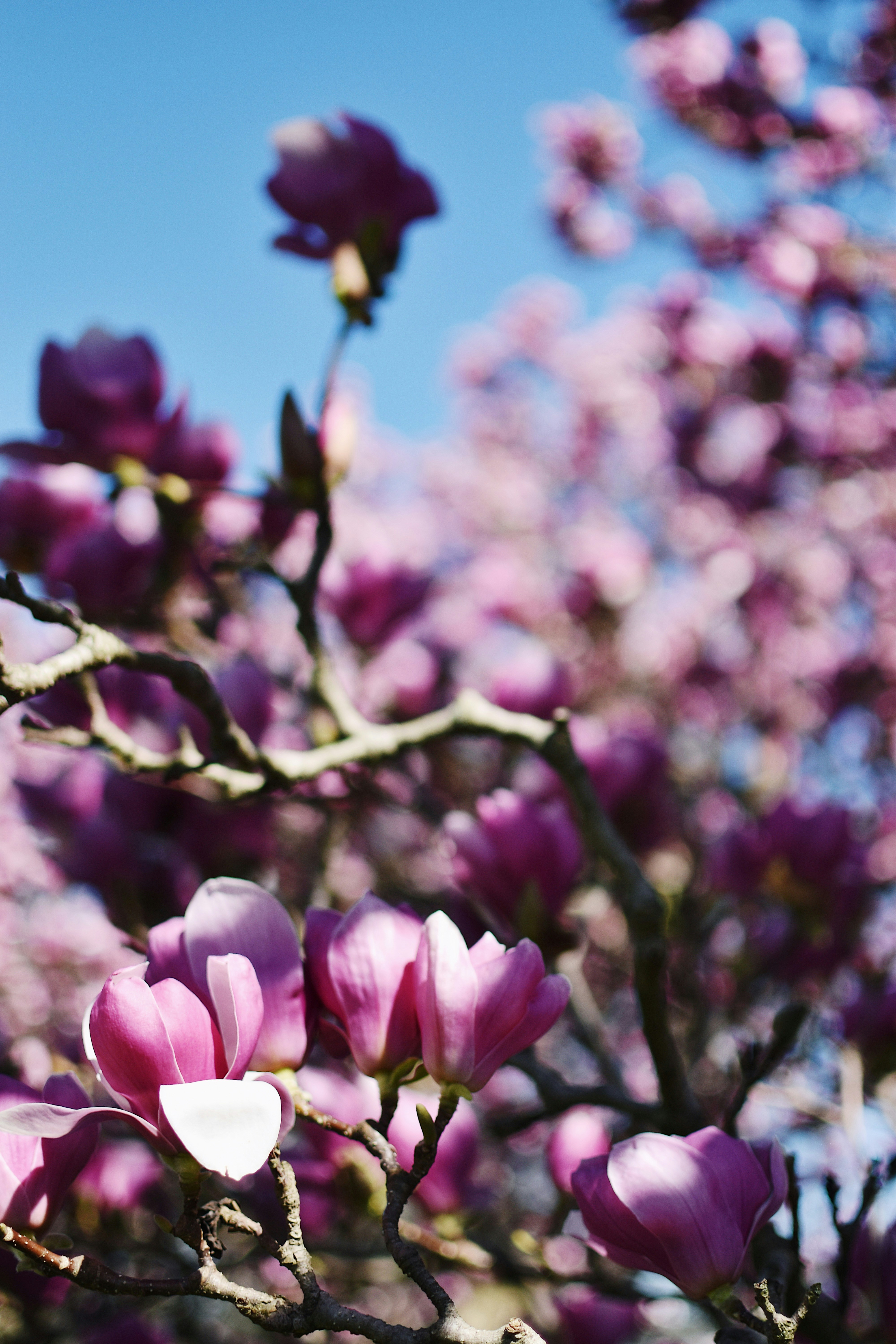 Photo by kirstinweisman