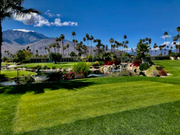 A wide-angle view of a stylish putting green installation featuring subtle slopes and surrounding tropical landscaping in Boynton Beach.