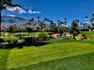 A welcoming golf concierge desk with tropical plants and golf clubs in the background.