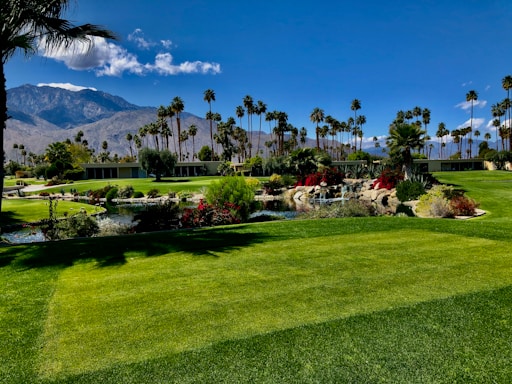 A welcoming golf concierge desk with tropical plants and golf clubs in the background.