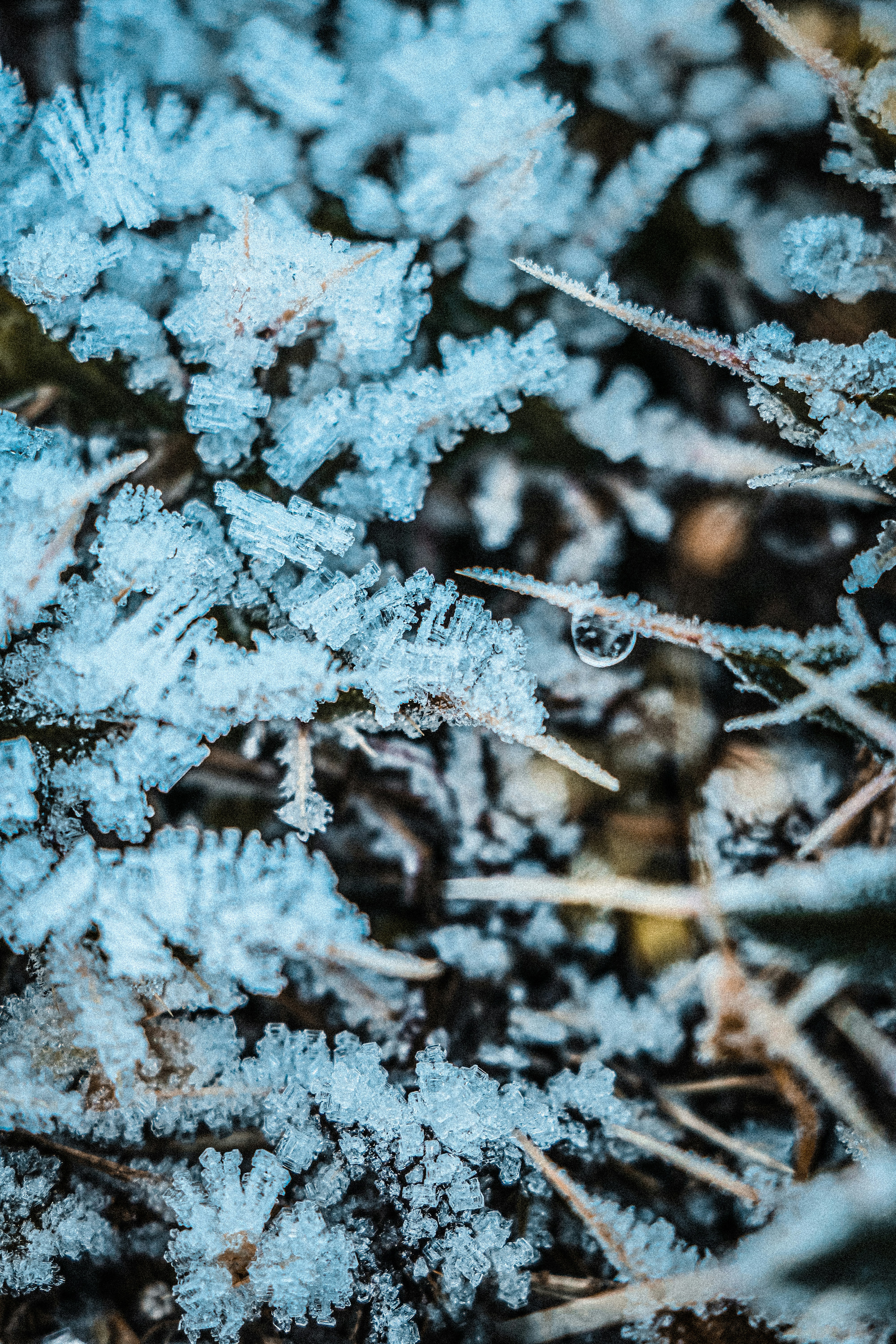 Photo by abijeason_photography