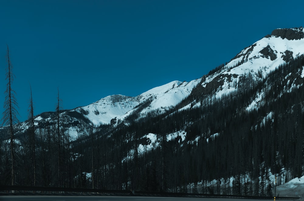 snow covered mountain during daytime