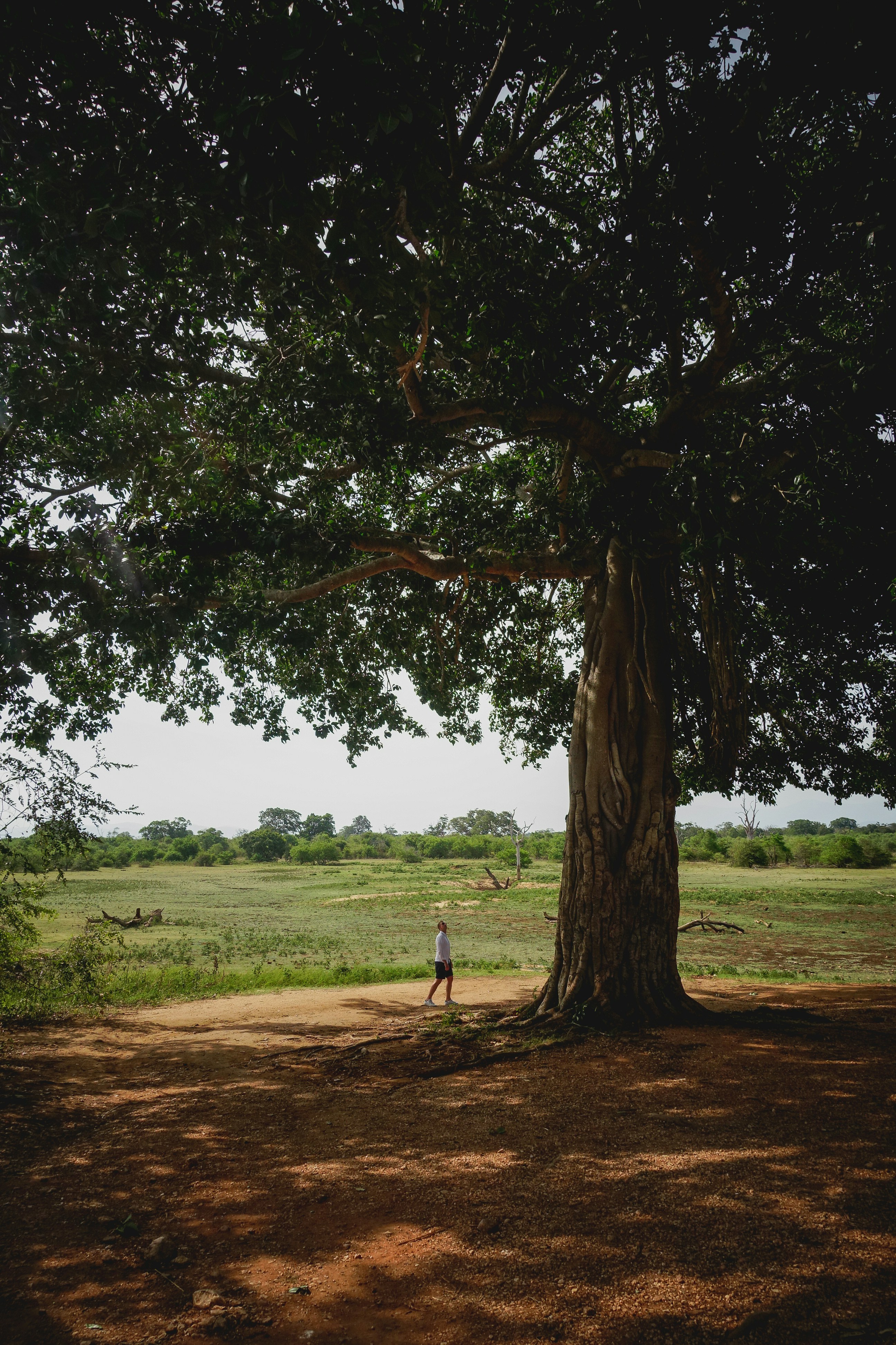 Photo by etvoilaraissa