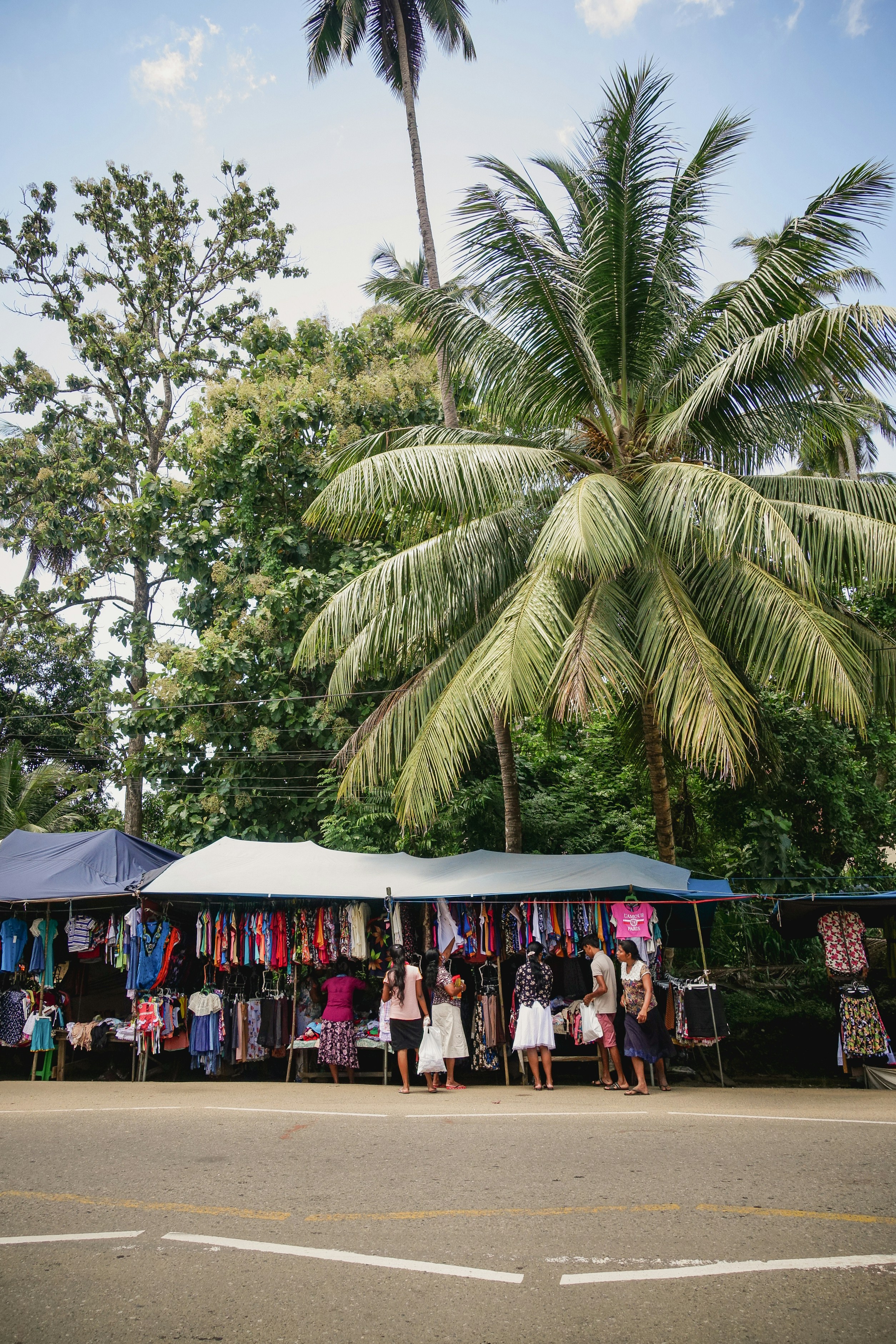 people standing near green palm trees during daytime