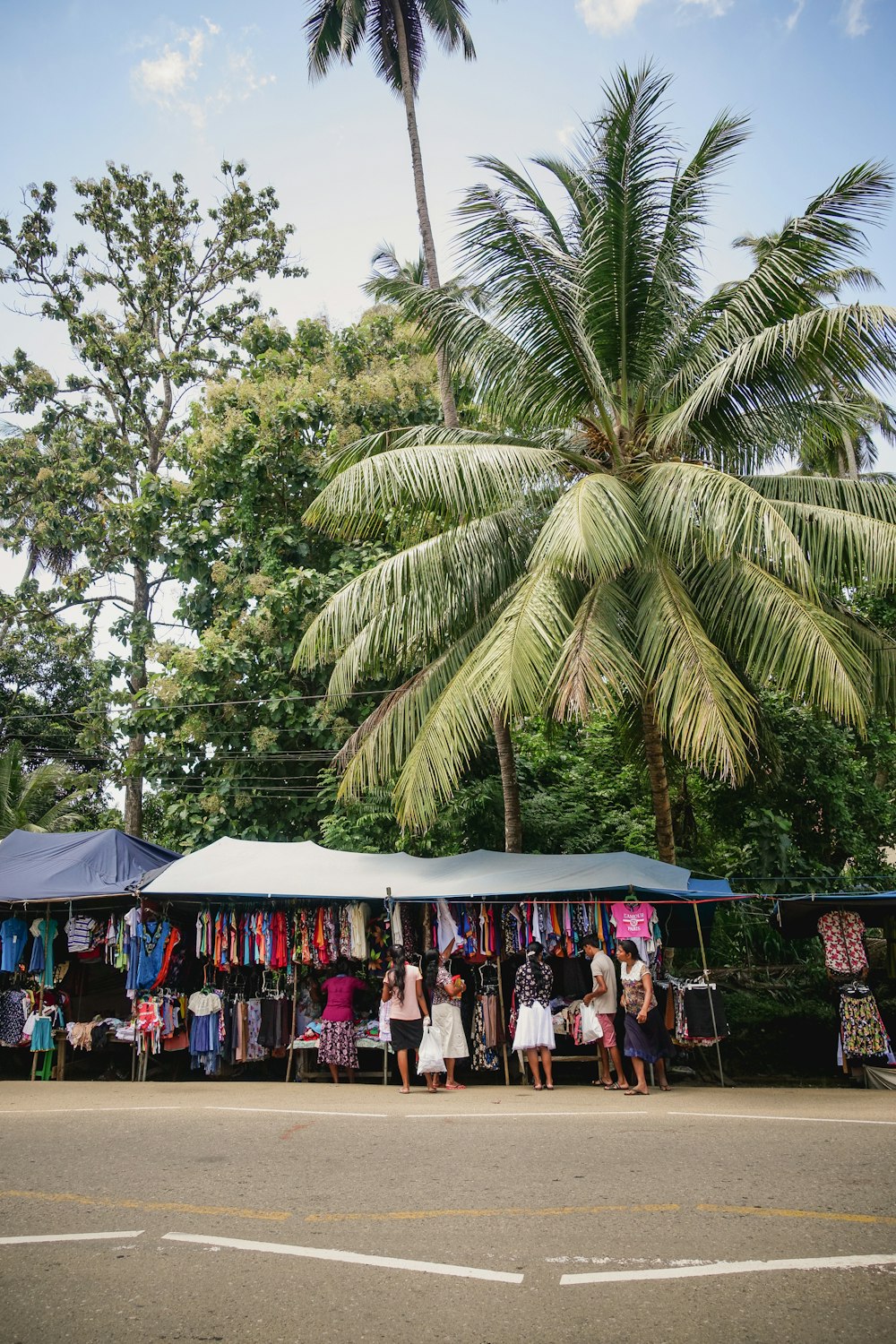 people standing near green palm trees during daytime