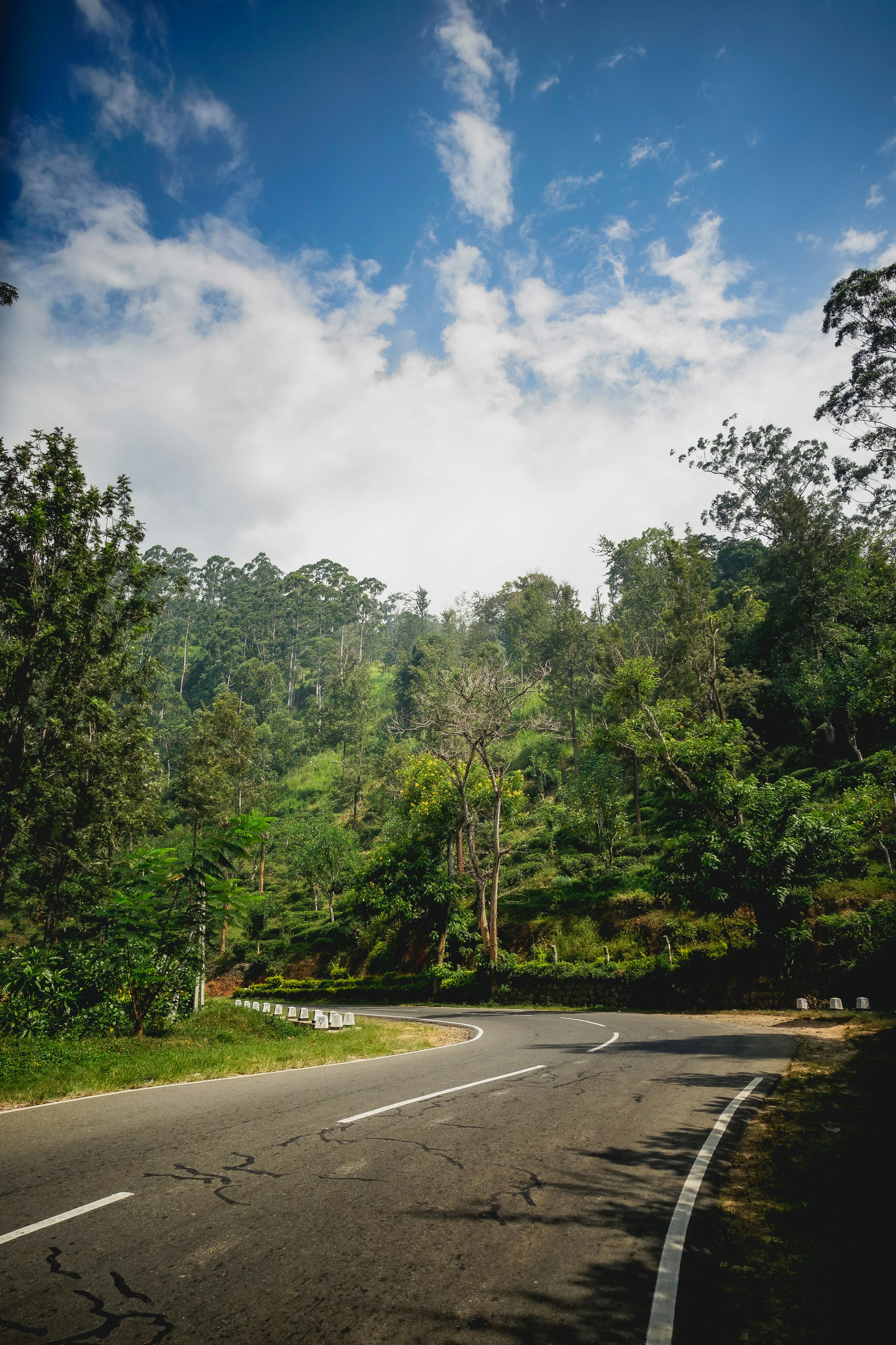 Photo by etvoilaraissa