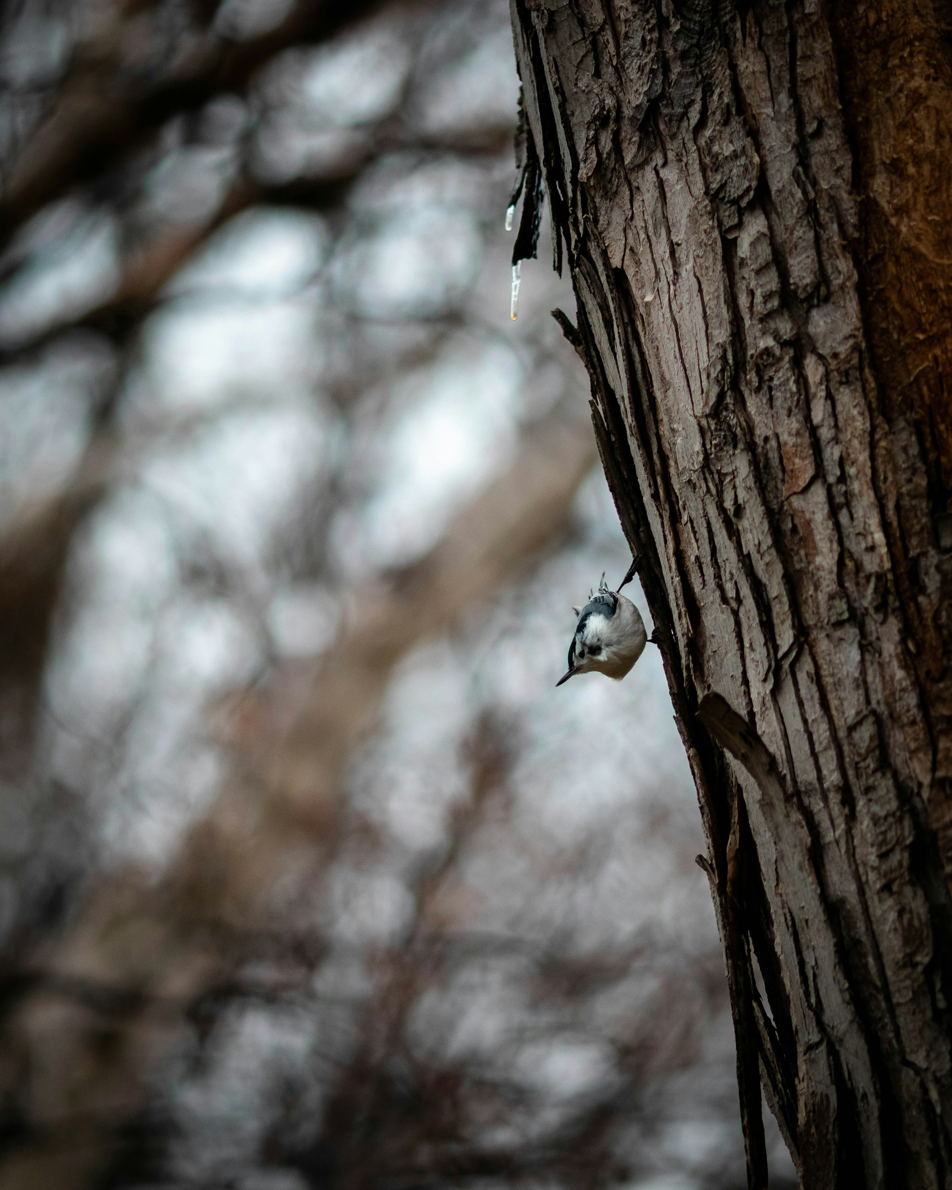 Photo by cole_wyland_24