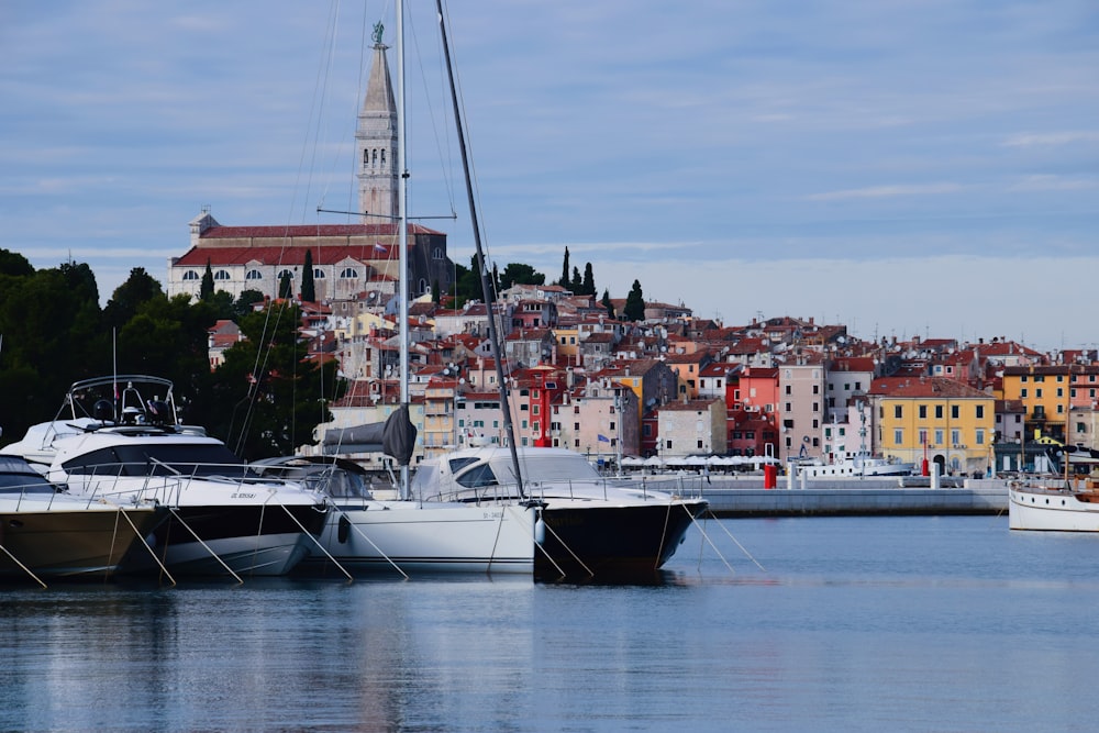 white and black boat on sea near city buildings during daytime